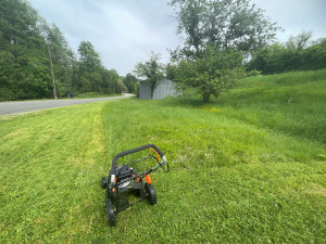 Photo de galerie - Tonte de pelouse 
