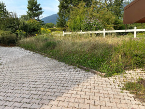 Photo de galerie - Tonte de pelouse - Débroussaillage