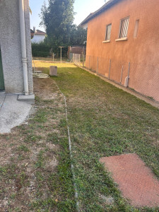 Photo de galerie - Tonte de pelouse 