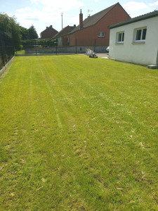 Photo de galerie - Tonte pelouse 