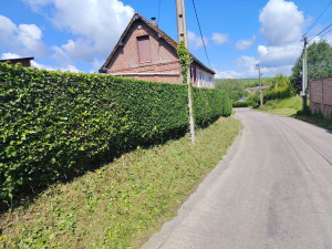 Photo de galerie - Réalisation dune haie

