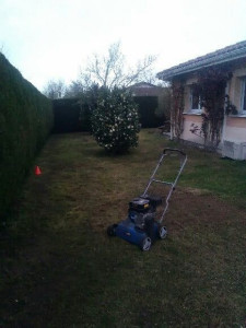 Photo de galerie - Paysagiste - Aménagement du jardin