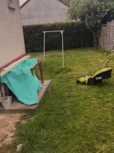 Photo de galerie - Tonte de pelouse - Débroussaillage