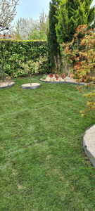 Photo de galerie - Creation paysagère