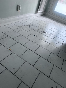 Photo de galerie - Sol