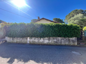Photo de galerie - Taille d’une haie 