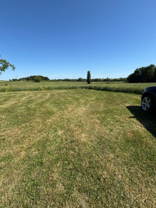 Photo de galerie - Tonte terrain 