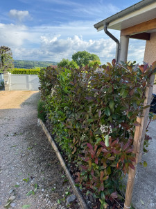 Photo de galerie - Taille