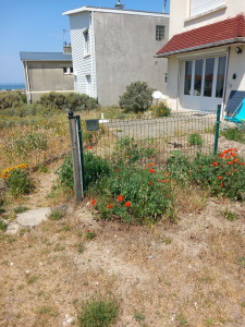 Photo de galerie - Terrain avant d'effectuer les travaux deuxième photo nettoyer débroussaillage
