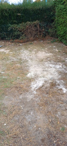 Photo de galerie - Évacuation déchets - Gravats