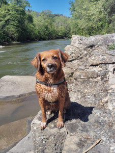 Photo de galerie - Ma toutoune