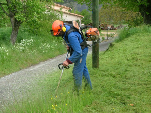 Photo de galerie - Tonte de pelouse - Débroussaillage