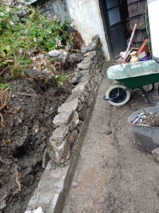 Photo de galerie - Mûre 