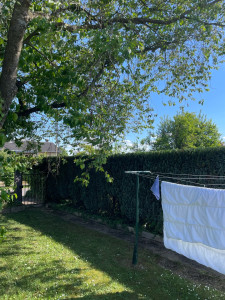 Photo de galerie - Taille de haie