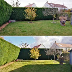 Photo de galerie - Léger mais efficace 