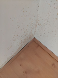 Photo de galerie - Bricolage et multi services