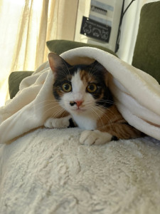 Photo de galerie - ?