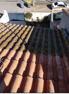 Photo de galerie - Nettoyage toiture