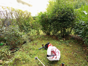 Photo de galerie - Taille de haies et d'arbustes