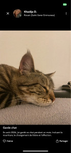 Photo de galerie - J’ai pris soin de cette jolie boule de poils durant l’été dernier, tout en changeant sa litière, la nourrissant et jouant avec elle tous les jours. Très câline, c’était fort agréable 