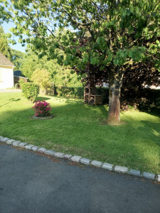 Photo de galerie - Tonte de pelouse