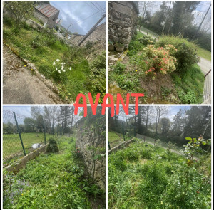 Photo de galerie - Parterre de fleurs