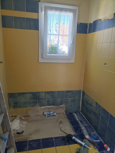 Photo de galerie - Réflexion de salle de douche 
