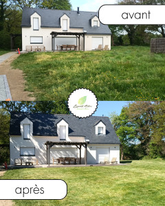 Photo de galerie - Débroussaillage et tonte a ploemel