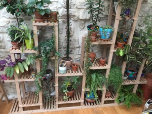 Photo de galerie - Meuble, étagère, présentoir pour les plantes du salon 