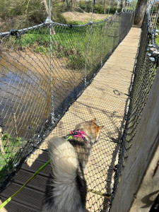 Photo de galerie - Iris, 18 mois