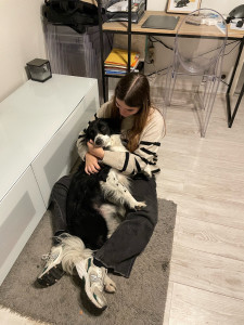 Photo de galerie - Garde d’un chien jeune et très énergique 