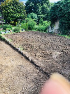 Photo de galerie - Paysagiste - Aménagement du jardin