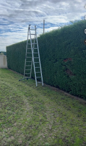 Photo de galerie - Taille de haie 