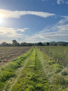 Photo de galerie - Baby sitting