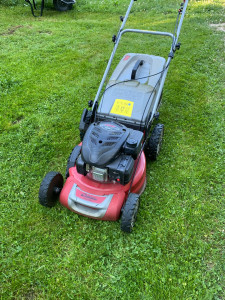 Photo de galerie - Tonte de pelouse - Débroussaillage