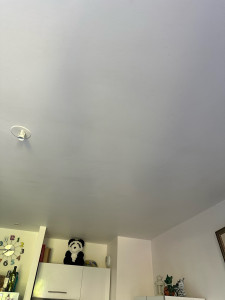 Photo de galerie - Lessivage des murs et plafond 