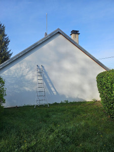 Photo de galerie - Peinture - Tapisserie