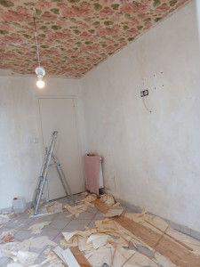 Photo de galerie - Détapisser papier peint 