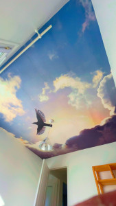 Photo de galerie - Paper