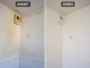 Photo de galerie - Avant/après 