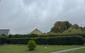 Photo de galerie - Taille de haie après 