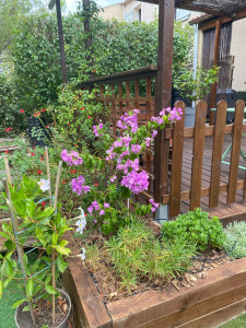 Photo de galerie - Aménagement pourtour terrasse 