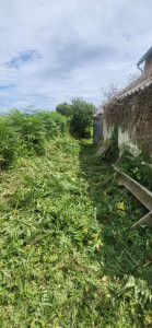 Photo de galerie - Tonte de pelouse - Débroussaillage