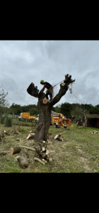 Photo de galerie - Démontage sol pleureur