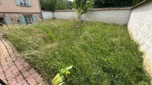 Photo de galerie - Débroussailleuse et tonte d’herbe haute 