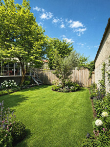 Photo de galerie - JARDIN