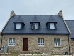 Photo de galerie - Après le traitement anti mousse, plus protection, résine