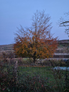 Photo de galerie - Avant