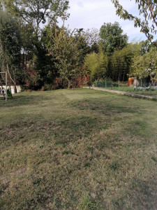 Photo de galerie - Entretien espaces verts. Évaluation des déchets 