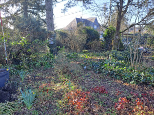 Photo de galerie - Clôture Grillage